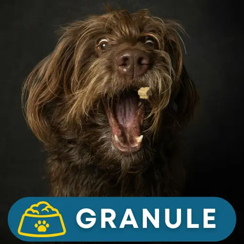Granule