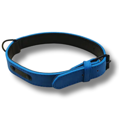 Elegantný obojok z PU kože – 58×2,5 cm - Modrý