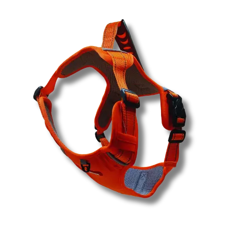 Pohodlný postroj s rukoväťou - L - Oranžový