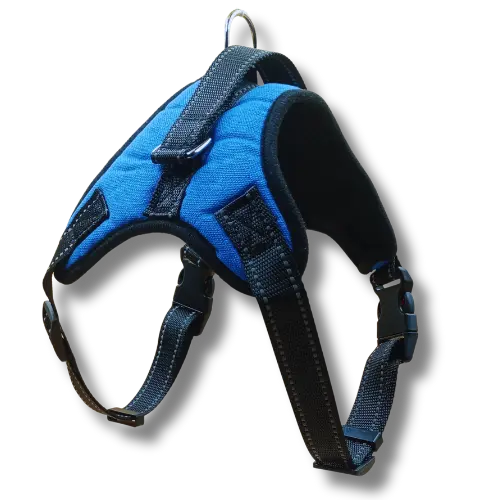 Postroj typ "Y" - Rukoväť - L - Modrý