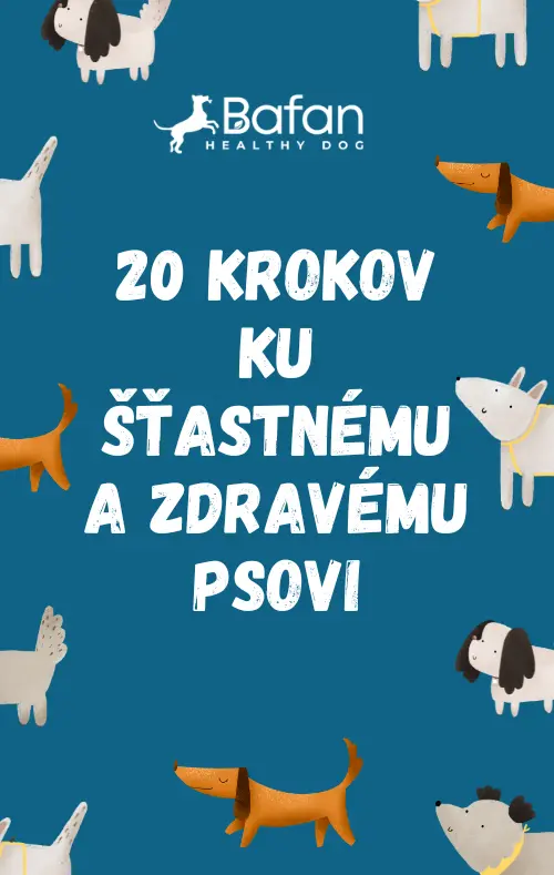 Ebook - 20 krokov ku šťastnému a zdravému psovi
