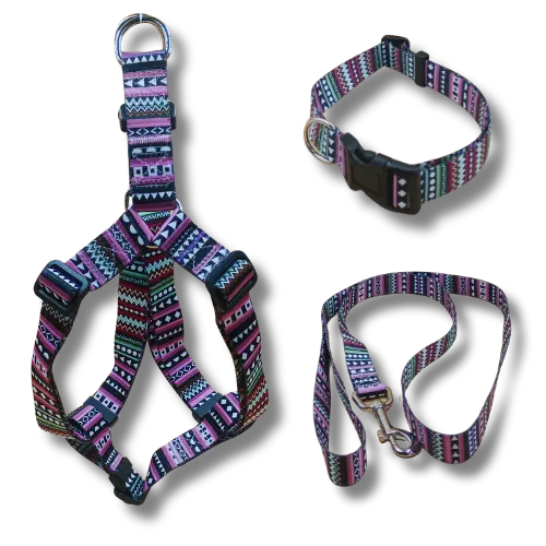 Set: postroj + obojok + vodítko – Modro - M