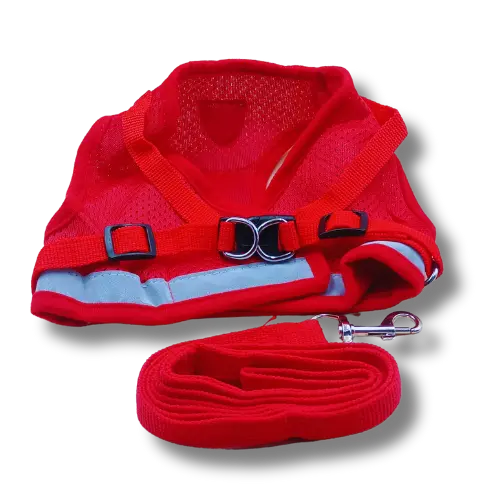 Set: postroj + vodítko – Červené - S