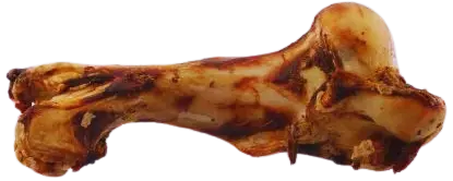 Pochúťka Rasco kosť zaúdená M 1kg