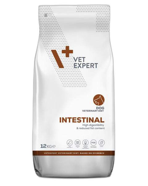 VetExpert VD dog 4T Intestinal 12 kg
