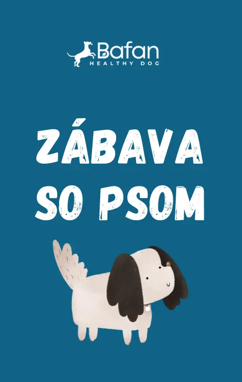 Ebook - Zábava so psom