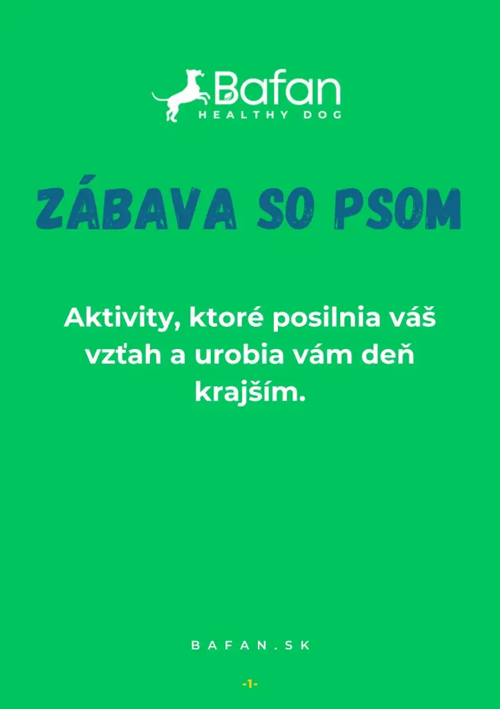 Ebook - Zábava so psom
