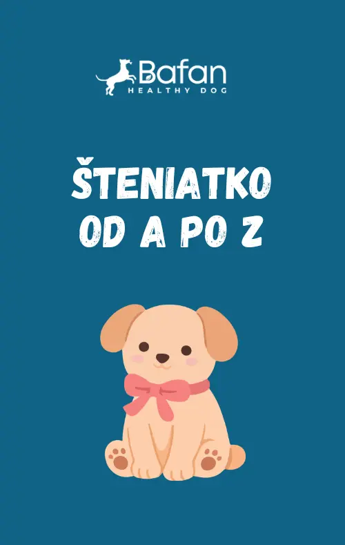 Ebook - Šteniatko od A po Z (prvých 30 dní doma)