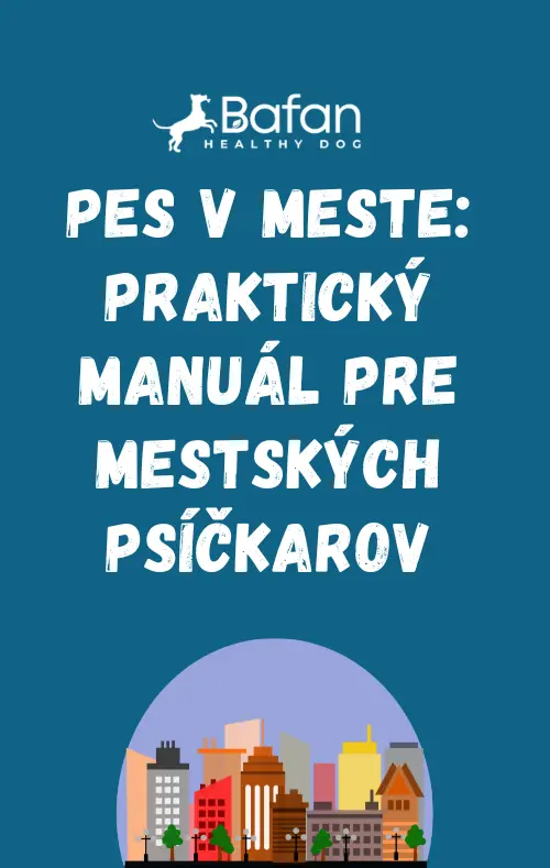 Ebook - Pes v meste: praktický manuál pre mestských psíčkarov