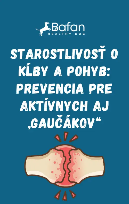 Ebook - Starostlivosť o kĺby a pohyb: prevencia pre aktívnych aj „gaučákov“