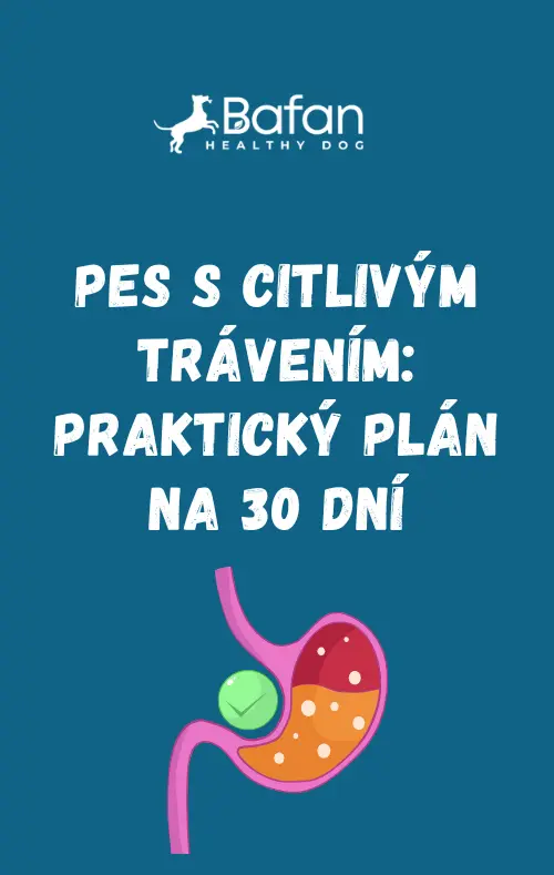 Ebook - Pes s citlivým trávením: praktický plán na 30 dní
