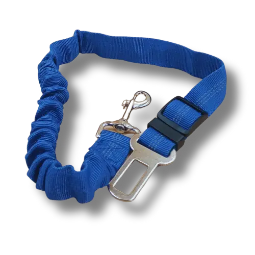 Elastický pás do auta pre psa - 2.5x53-75cm - Nylon - Modrý