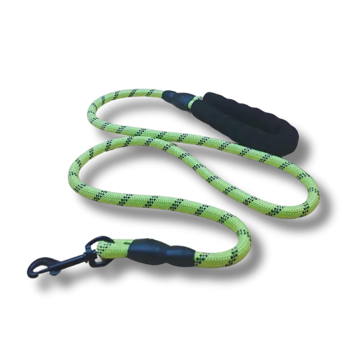 Vodítko s pohodlnou rukoväťou - 1,2cm x 150cm - Nylon - Zelené