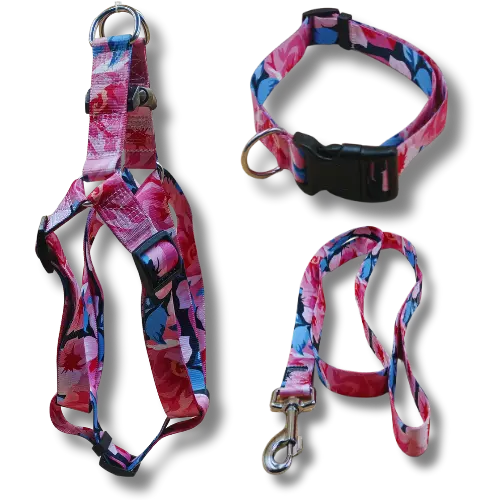 Set: postroj + obojok + vodítko – ruža- L