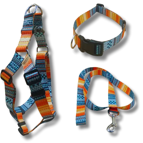 Set: postroj + obojok + vodítko – Oranž - M