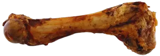 Pochúťka Rasco kosť bravčová pečená 211g