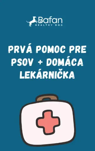 Ebook - Prvá pomoc pre psov + domáca lekárnička